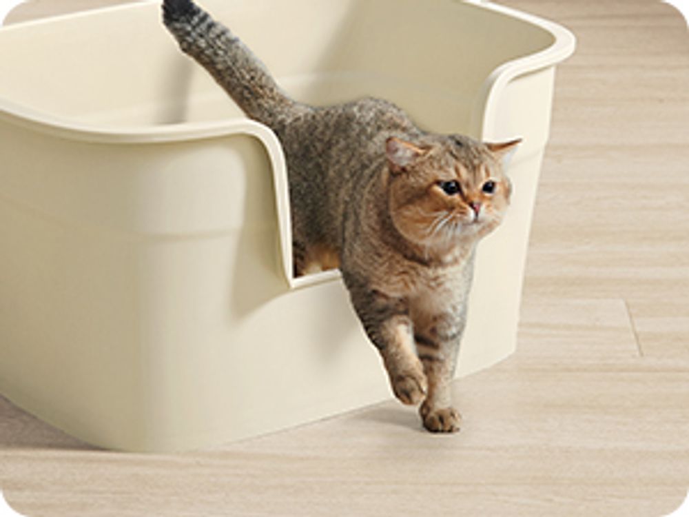 Feandrea extragroße Katzentoilette, für große Katzen, mit hohen Seitenwänden, Sandbeige