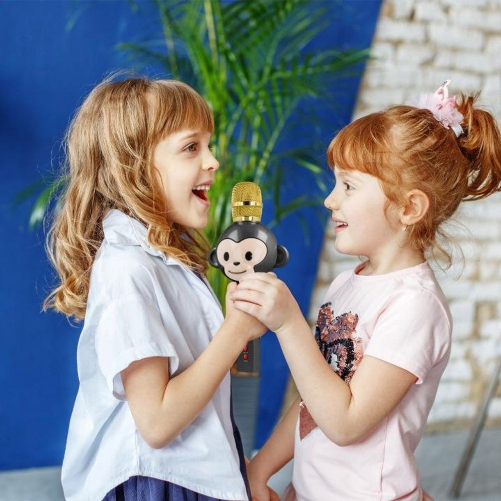 Maxlife, microfono karaoke Bluetooth per bambini, altoparlante integrato, nero
