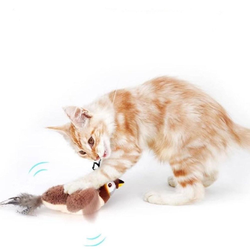 Weckt den natürlichen Jagdinstinkt Ihrer Katze