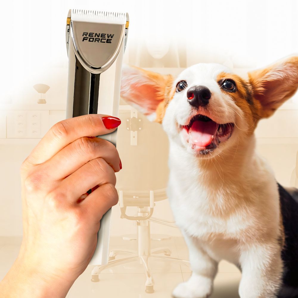 Fellscheren, 5 Feineinstellstufen Tier-Haarschneider, 12 Teiliges Hundeschermaschine-Set, 4 Grenzkämmen Schermaschine, Retoo