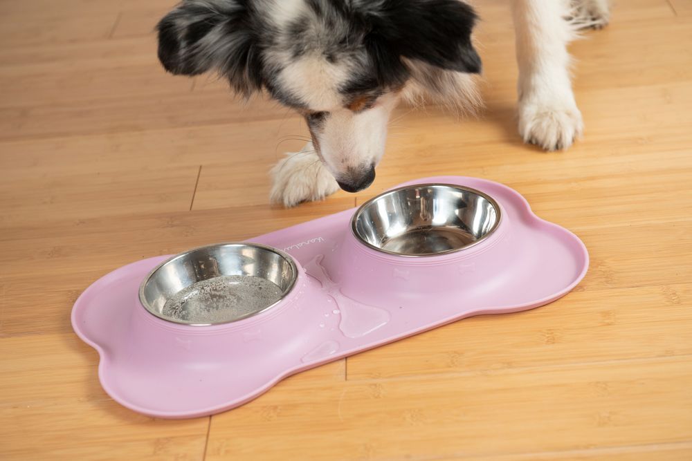 Silikonischer Nahrungsschalenhalter, mit Edelstahl-Futtereimer, für Katzen und Hunde, 200 ml, grau