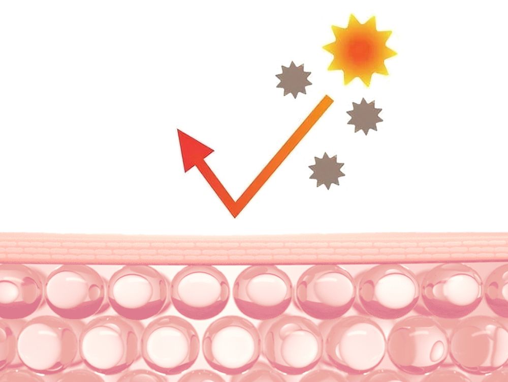 Ceramide Kapseln – CERAMOSIDES Phytoceramide 30mg mit Squalan, Vitamin A und E – Für Trockene Haut – LipidCell (60 Kapseln)