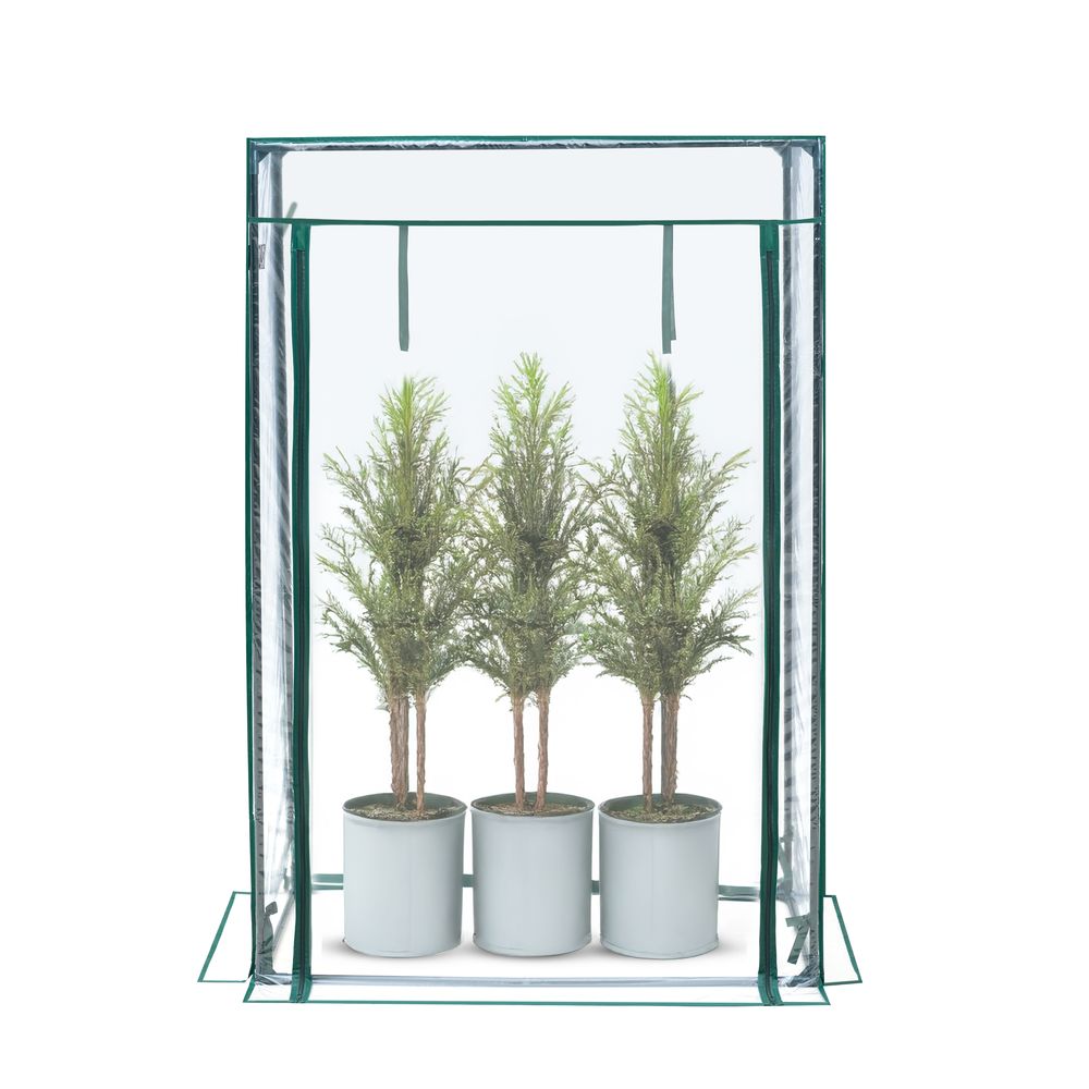 KANWOD Gewächshaus Garten mit Aufrollbarer Tür, Transparent Folie 140 g/m2, 150x100x50 cm