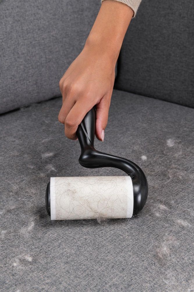 Scotch-Brite™ Pet Extra Sticky Roller + 4 Nachfüllrollen Tierhaare