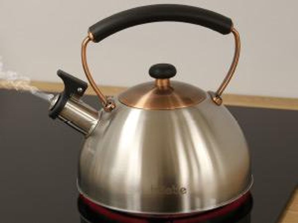 Briebe I-Bronze Wasserkessel Induktion Flötenkessel 2,3L Edelstahl, Retro, Bakelit Handgriff Inox/ Bronze