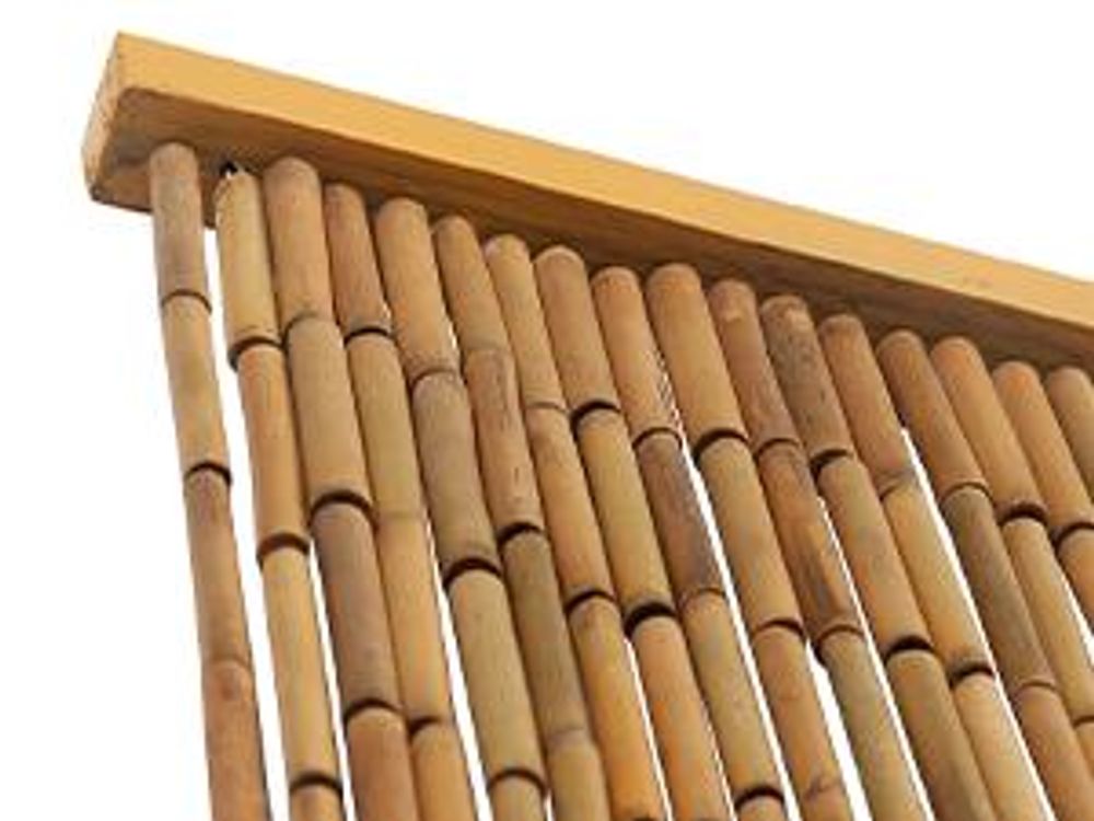 vidaXL Tenda per porta con zanzariera in bambù 120 x 220 cm