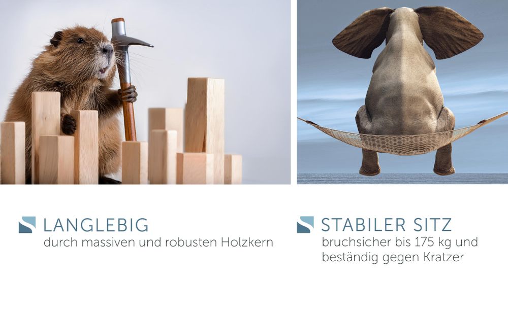 SCHÜTTE Holzkern WC-Sitz WHITE, mit Absenkautomatik