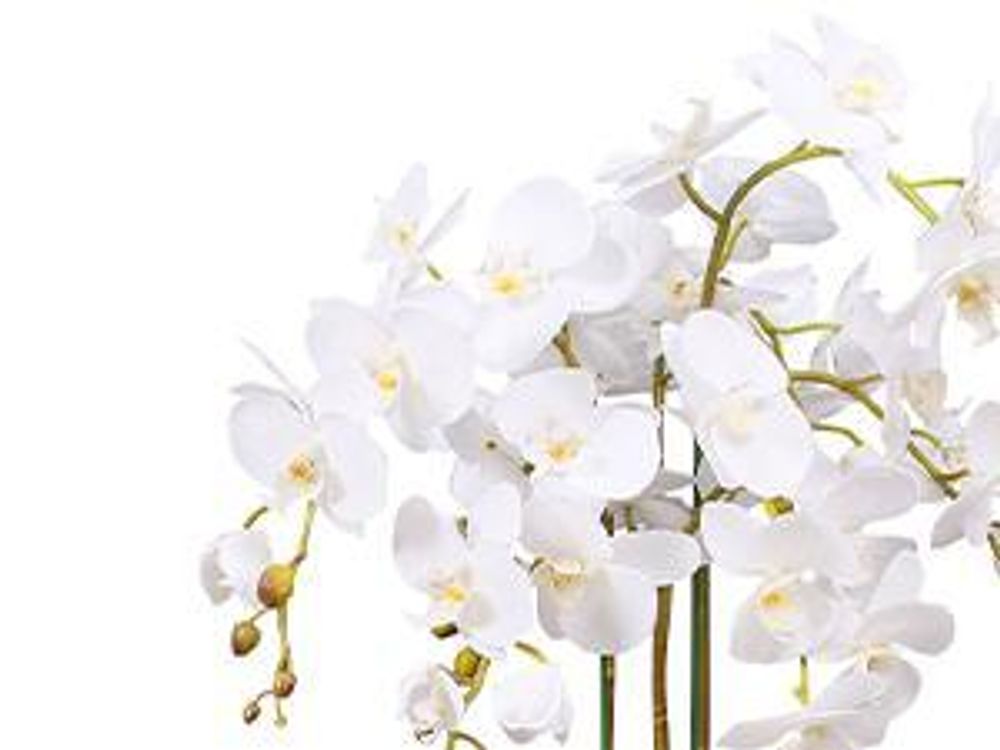 vidaXL Orchidée artificielle avec pot 75 cm blanc