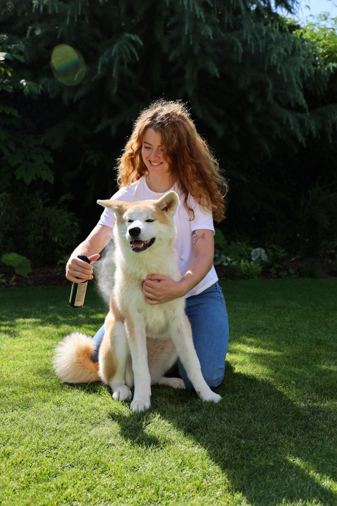 Entfilzungsspray für Hunde mit Hyaluronsäure für geschmeidiges, glänzendes Fell.