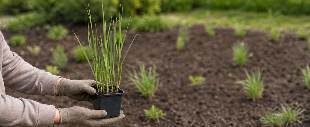Topf in Händen, Gartenhandschuhe, Beet im Hintergrund