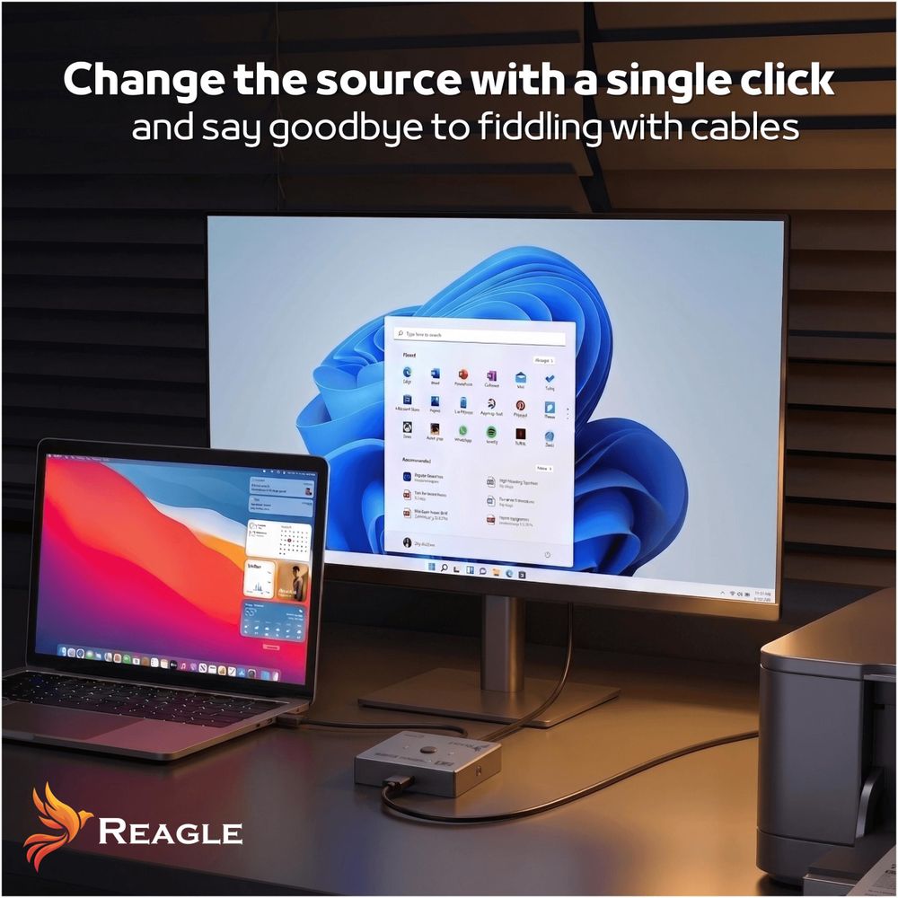 Reagle USB 3.0 Switch Bidirektional 1x2 2x1 Umschalter für 2 Computer auf 1 Gerät oder umgekehrt 5Gbps Datenübertragung Aluminium Gehäuse Plug Play