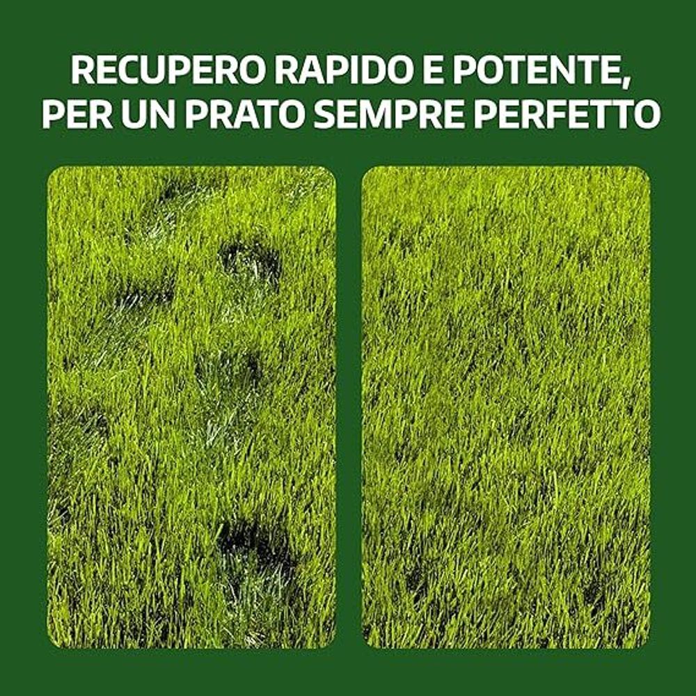 LERAVA® Rasensamen Bermudagras [Extrem Trittfest] - 100m² - Trockenheitsresistente und schnellwachsende Samen