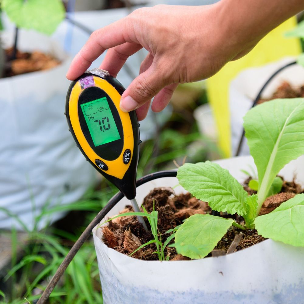Feuchtigkeitsmesser Pflanzen Messgerät PH Meter Feuchtigkeitsmessgerät Bauernhof Boden Bodentester Garten Rasen Temperatur Wert Tester Bauernhof Retoo