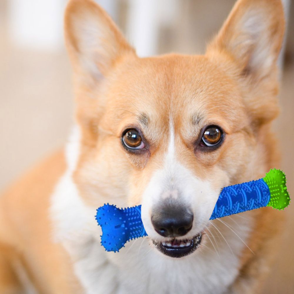 Hundespielzeug Kauspielzeug für Haustier Große Kleine Hunde Spielzeug Knochen Geformt Zahnreinigung Zahnpflege Hundezahnbürste Kauen Zahn 23cm Retoo