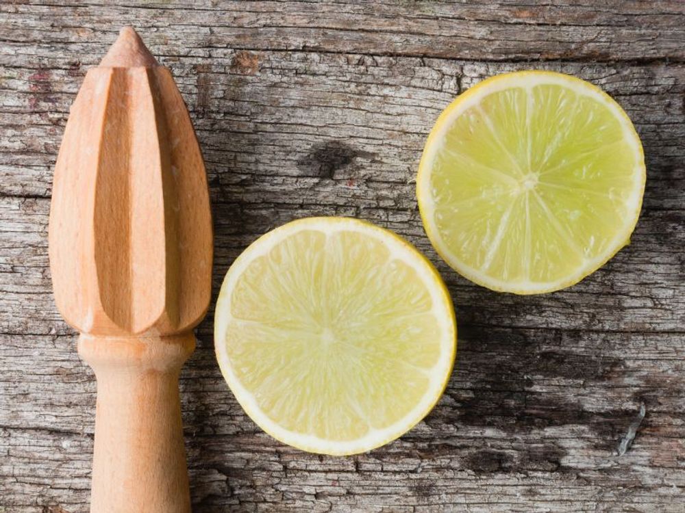 Citrus latifolia - echte Limette - veredelter Zitrusbaum im 6L-Topf - Caipi-Limette - persische Limette - Tahiti-Limette - perfekt für Caipirinha und Cocktails