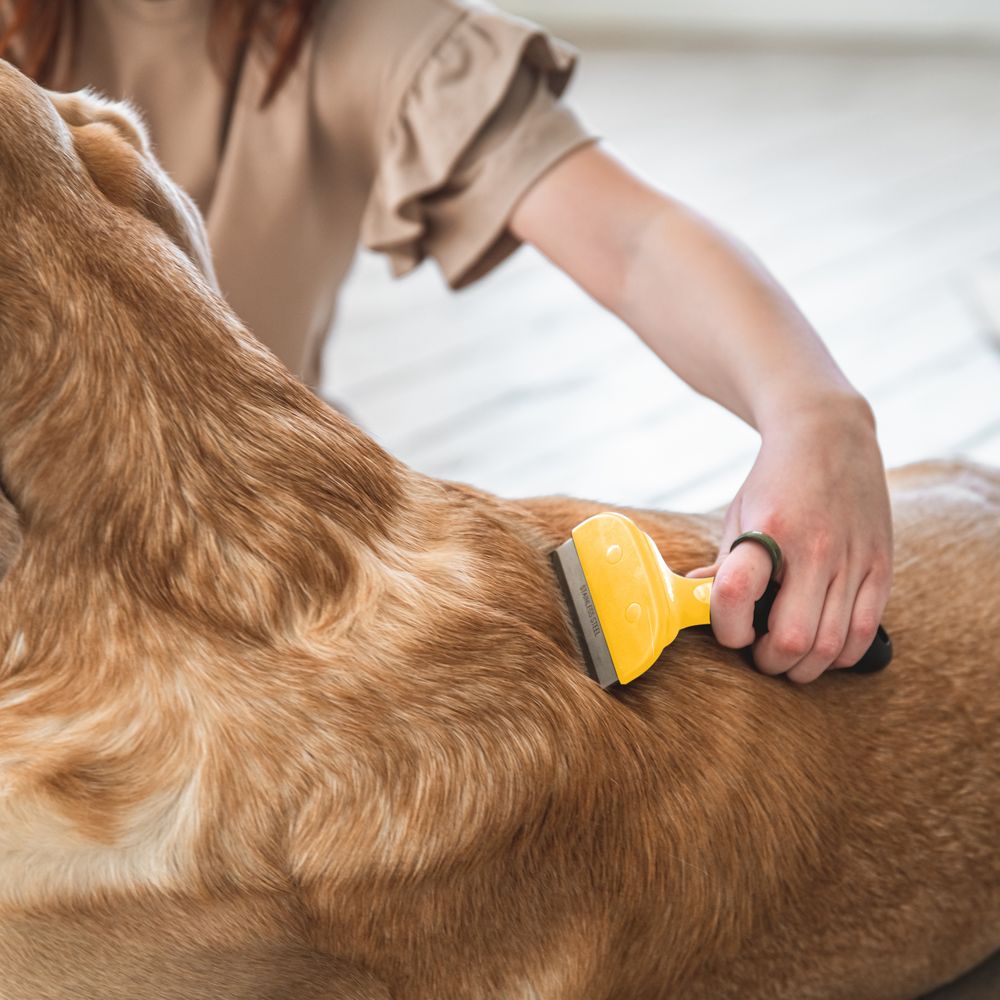 Fusselbürste Fusselrolle Tierhaarentferner Kleidung Fusselrasierer Fusselentferner Tierfell Tragbarer Clothes Fuzz Shaver Tierhaar Remover Retoo