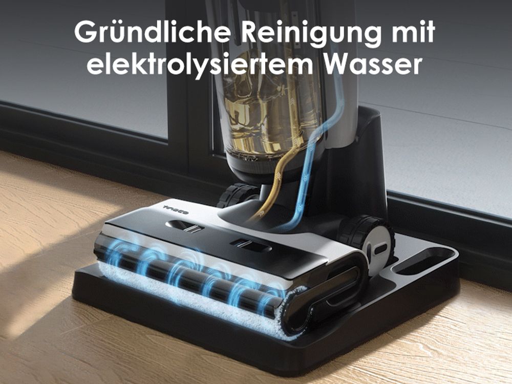 Selbstreinigung