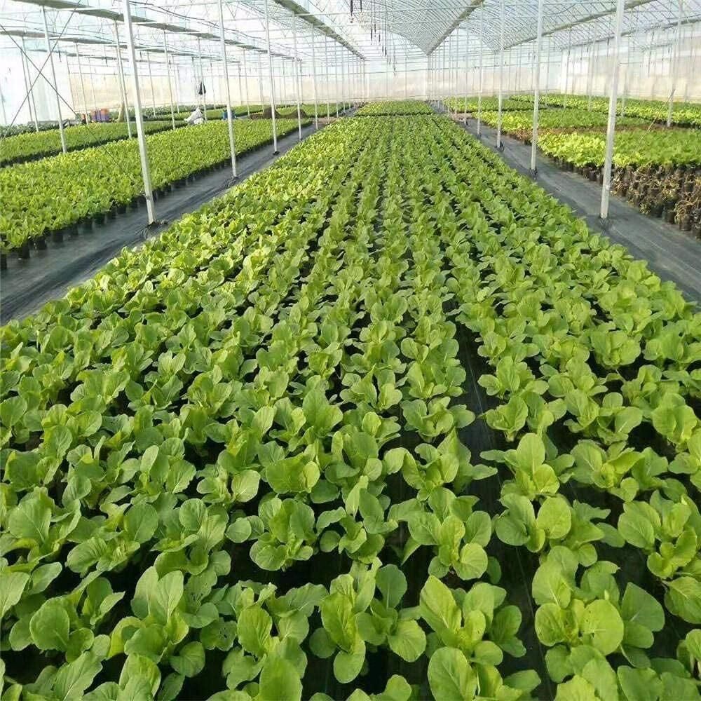 Vielseitig einsetzbar in Garten und Gewächshaus