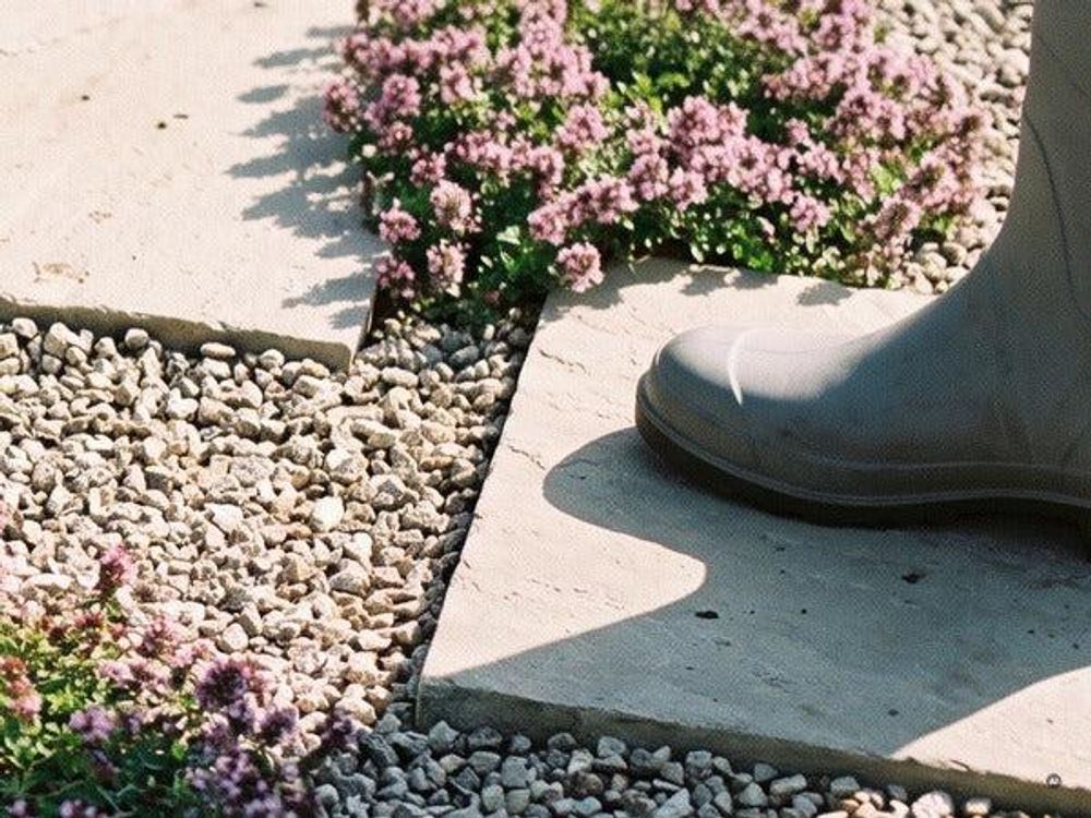 Polster säumt den Rand eines Trittsteins, Schuhspitze auf dem Stein
