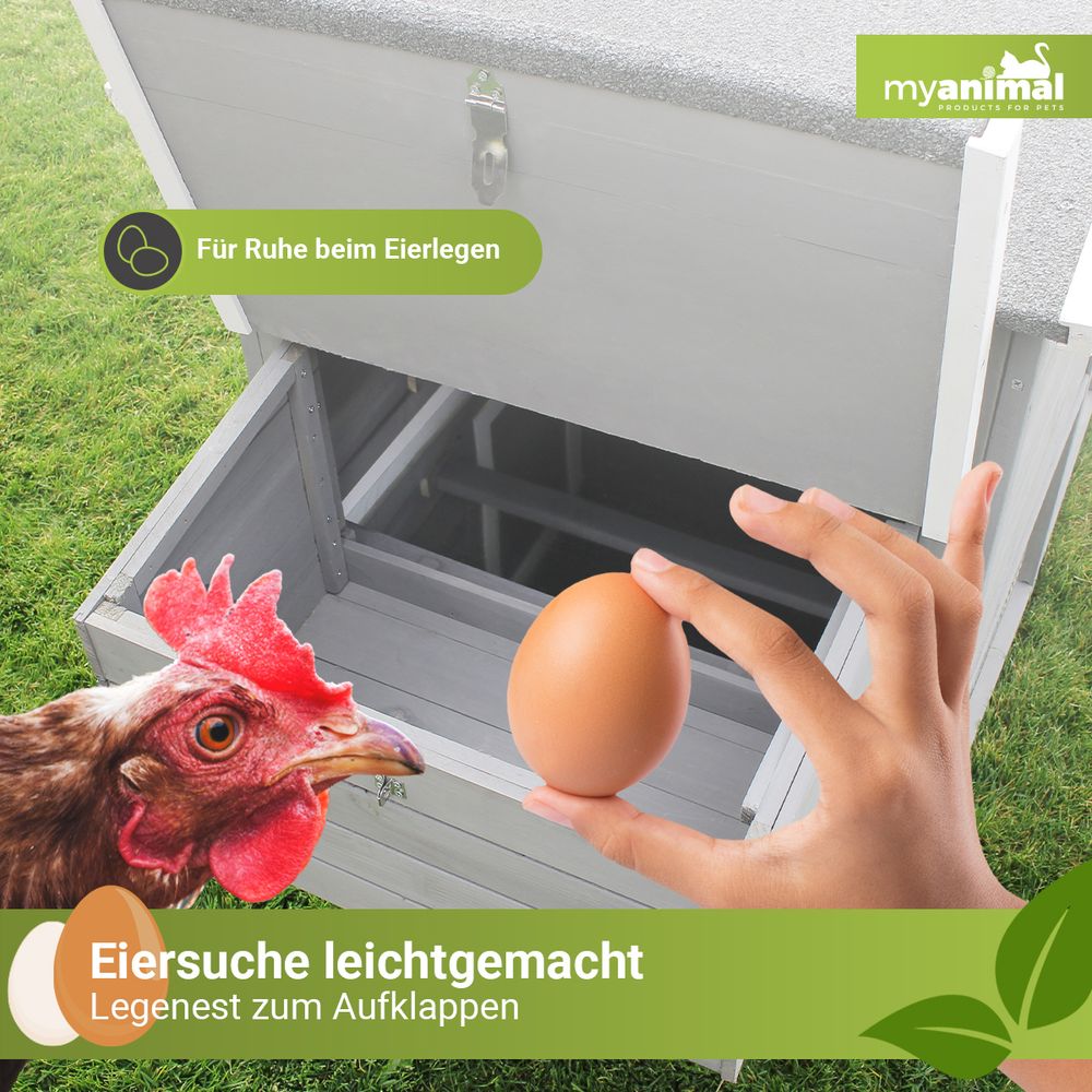MyAnimal Hühnerstall MH-21 | Bis zu 3 Hühner - Hühnerhaus - Sitzstange - Eiablage - Freilaufgehege - Wasserabweisendes Dach - Kleintierstall (Grau)