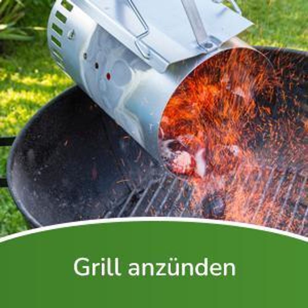 Fepro® Gasbrenner Abflammgerät 58kW mit 4,5m Schlauch & Zubehör – Ideal für Unkrautvernichtung, Anzünder, Bitumenbahnen Schweißen