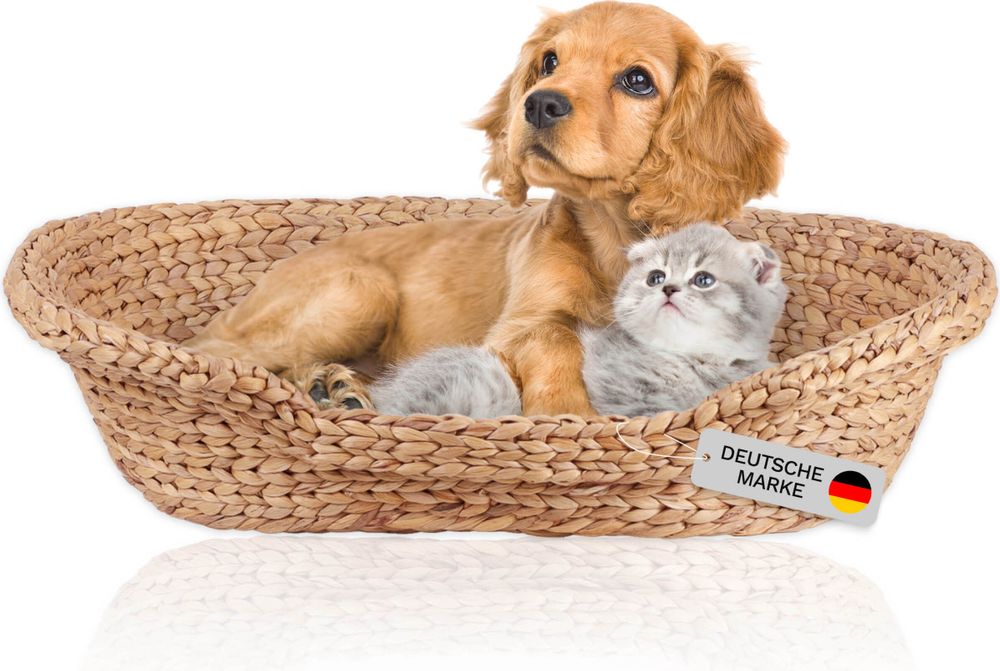 Lycce Katzenbett Hundebett für kleine Hunde Wasserhyazinthe | Kissen waschbar bei 30°C | leichter Einstieg | Betten, Decken & Möbel für Katzen, Größe:Größe 2