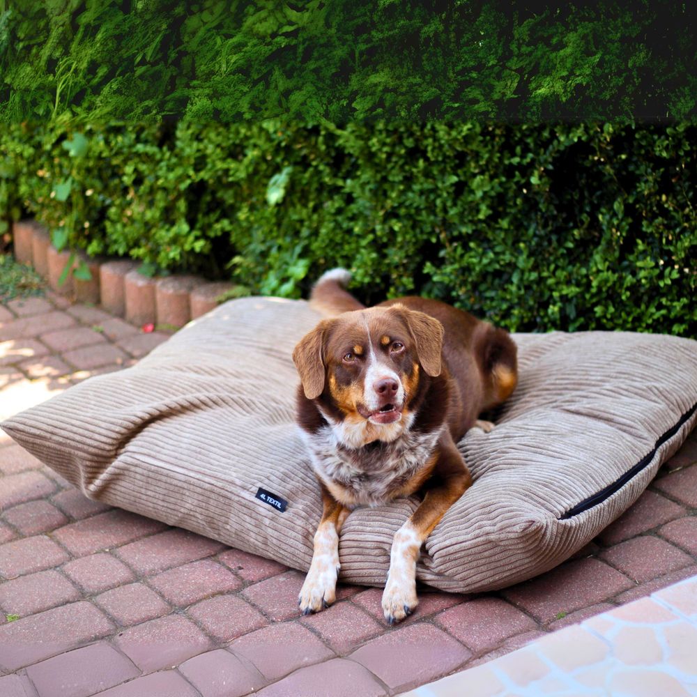4L Textil MOLLY Hundekissen 100x80 cm Beige