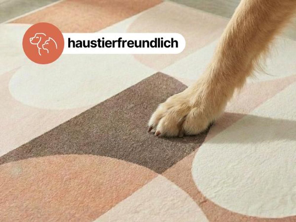 Tapiso Teppich WISP modern, pflegeleicht, Wohnzimmer Schlafzimmer 300 x 400 cm