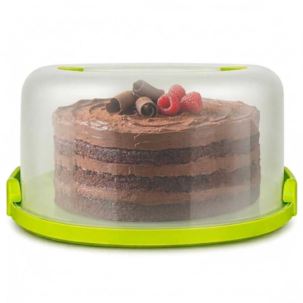 WELLHAUS Kuchenbehälter Grün 25x21x12,5 cm – Transportbox mit Deckel