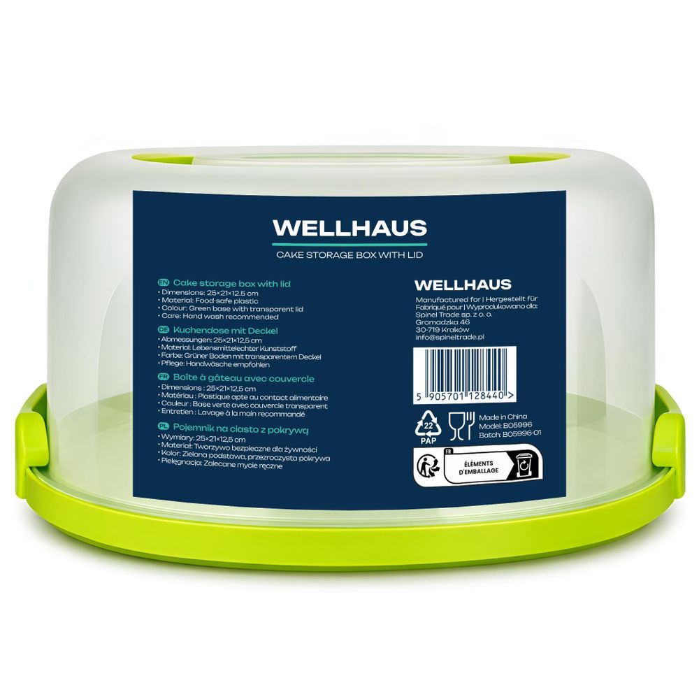 WELLHAUS Kuchenbehälter Grün 25x21x12,5 cm – Transportbox mit Deckel