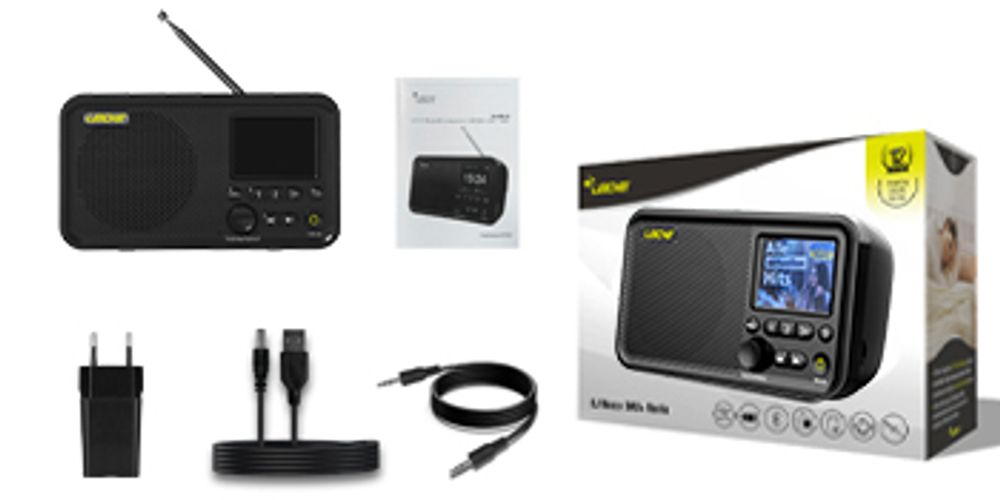 LEICKE tragbares DAB+ Radio mit Bluetooth 5.0 |UKW Radio, 2,4" Farbdisplay, 80 Voreinstellungen, Küchenradio mit Adapter und 4000mAh Akku, MicroSD/TF.