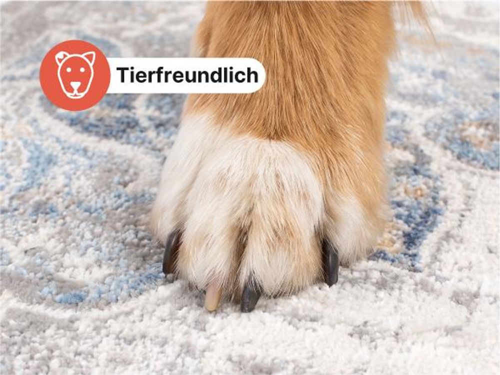 Tapiso Teppich VALLEY Modern Kurzflor Grau Creme Wohnzimmer 200 x 300 cm
