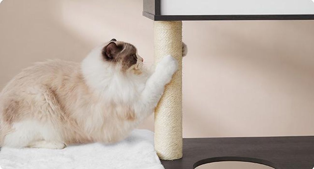 Feandrea Kratzbaum, mit Katzenklo-Schrank, erhöhter Napfständer, waschbare Kissen nebelgrau