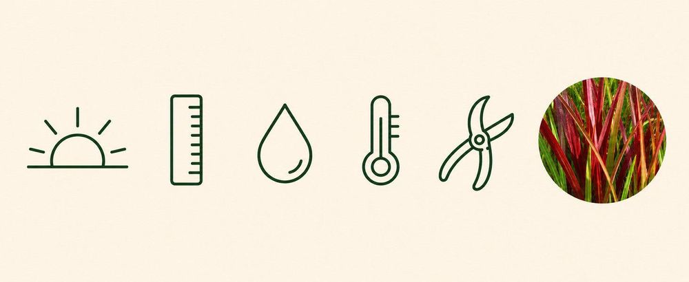 Icon-Schnellfakten: Sonne/Halbschatten, Lineal, Wassertropfen, Thermometer, Schere