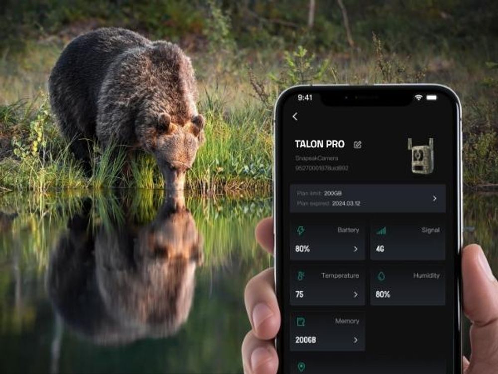 Reolink Camovue Talon Pro, 4K 8MP 4G LTE Akku Überwachungskamera für den Außenbereich, SIM-Karte, Starlight-Nachtsicht, Tierarterkennung