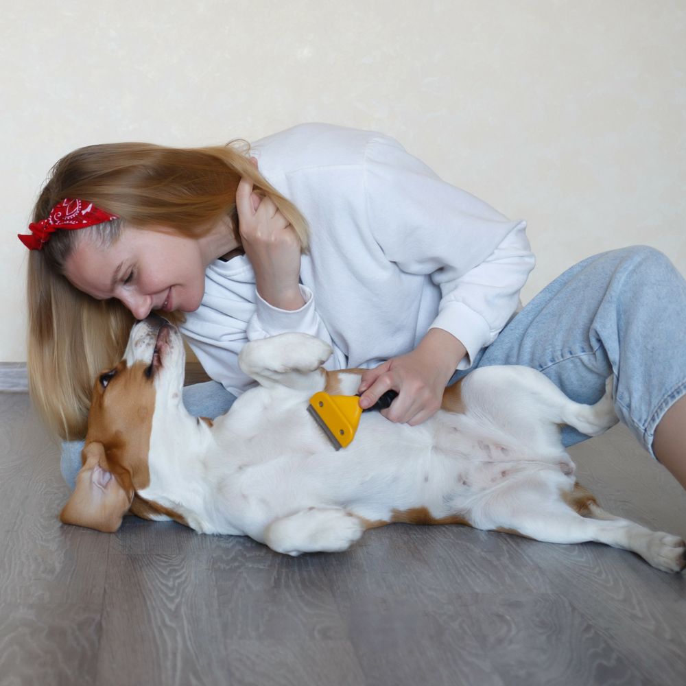 Fusselbürste Fusselrolle Tierhaarentferner Kleidung Fusselrasierer Fusselentferner Tierfell Tragbarer Clothes Fuzz Shaver Tierhaar Remover Retoo