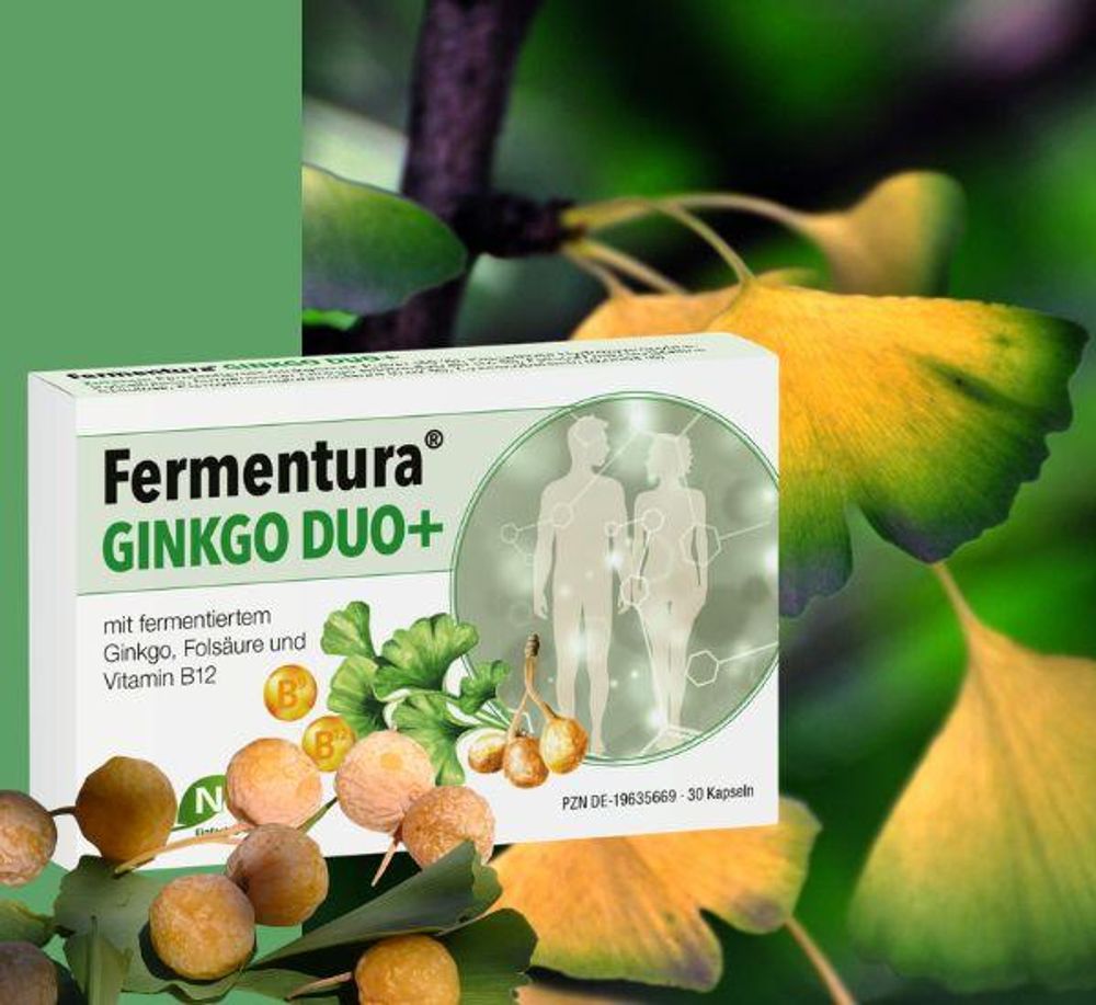 Auranatura Fermentura Ginkgo Duo+ Kapseln 30 St