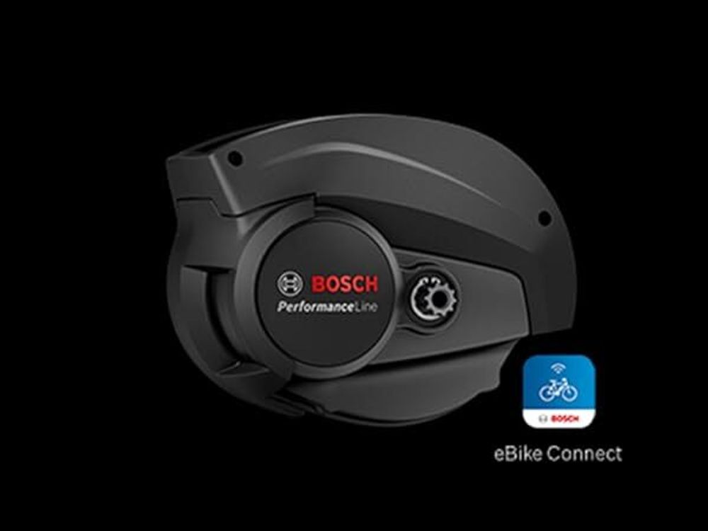 LEICKE 4A Ladegerät für 36V/42V Bosch Active/Performance Line E-Bike Akku mit Active Line Plus/Cargo Line/Performance Line CX(0275007907)