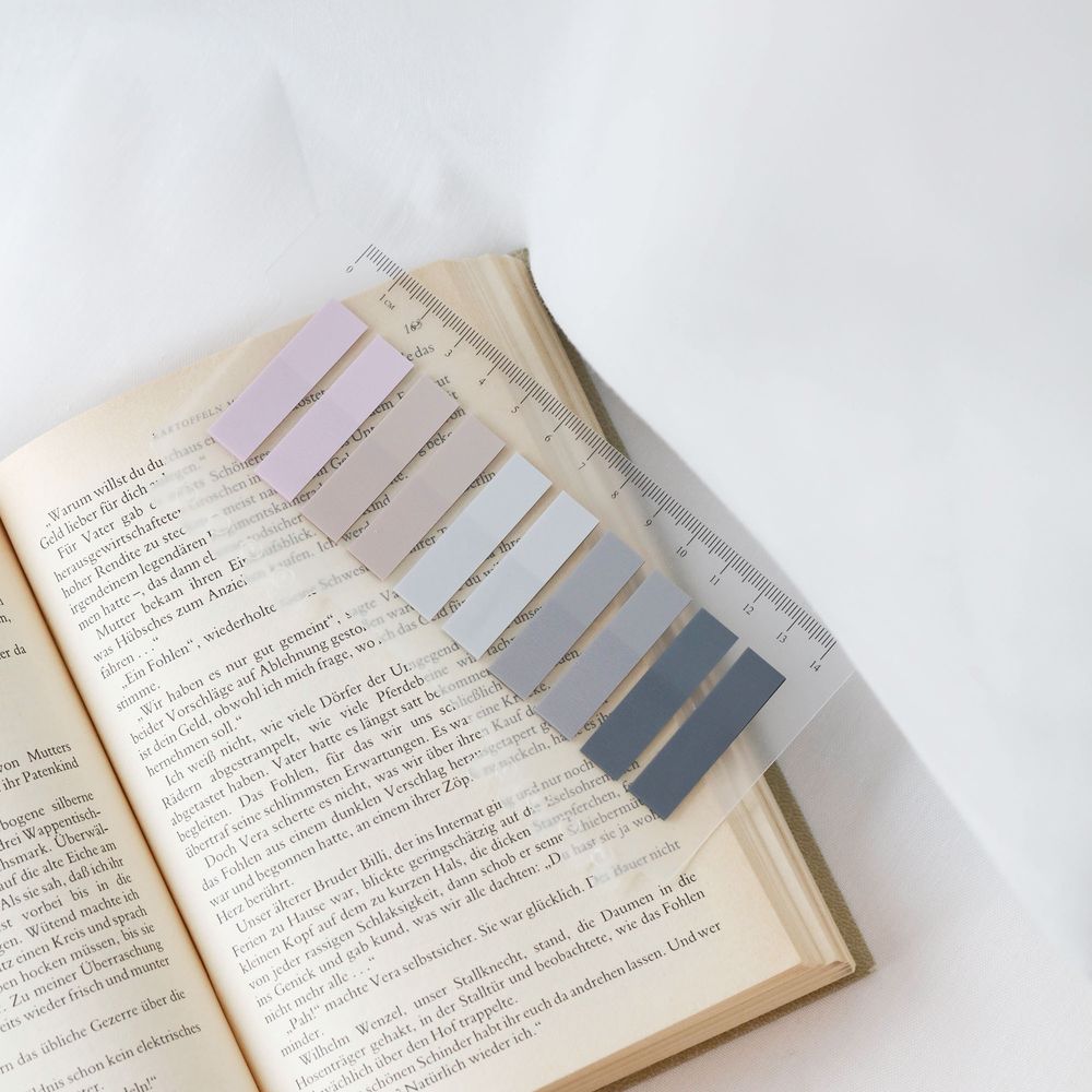 Ordinate Winter's Frost 200 Stück Haftnotizen Tabs, Gray Stile Pagemarker Selbstklebend Pastell Beschreibbare Haftstreifen Klebezettel mit Lineal