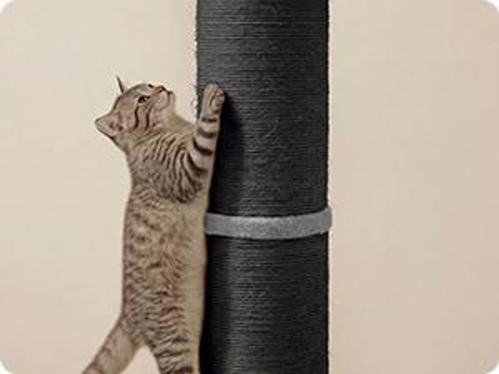 FEANDREA Katzenbaum, 17 cm dicker Stamm, Katzenbaum, Sisalstamm, mit Plüschball und Glocke, schwarz