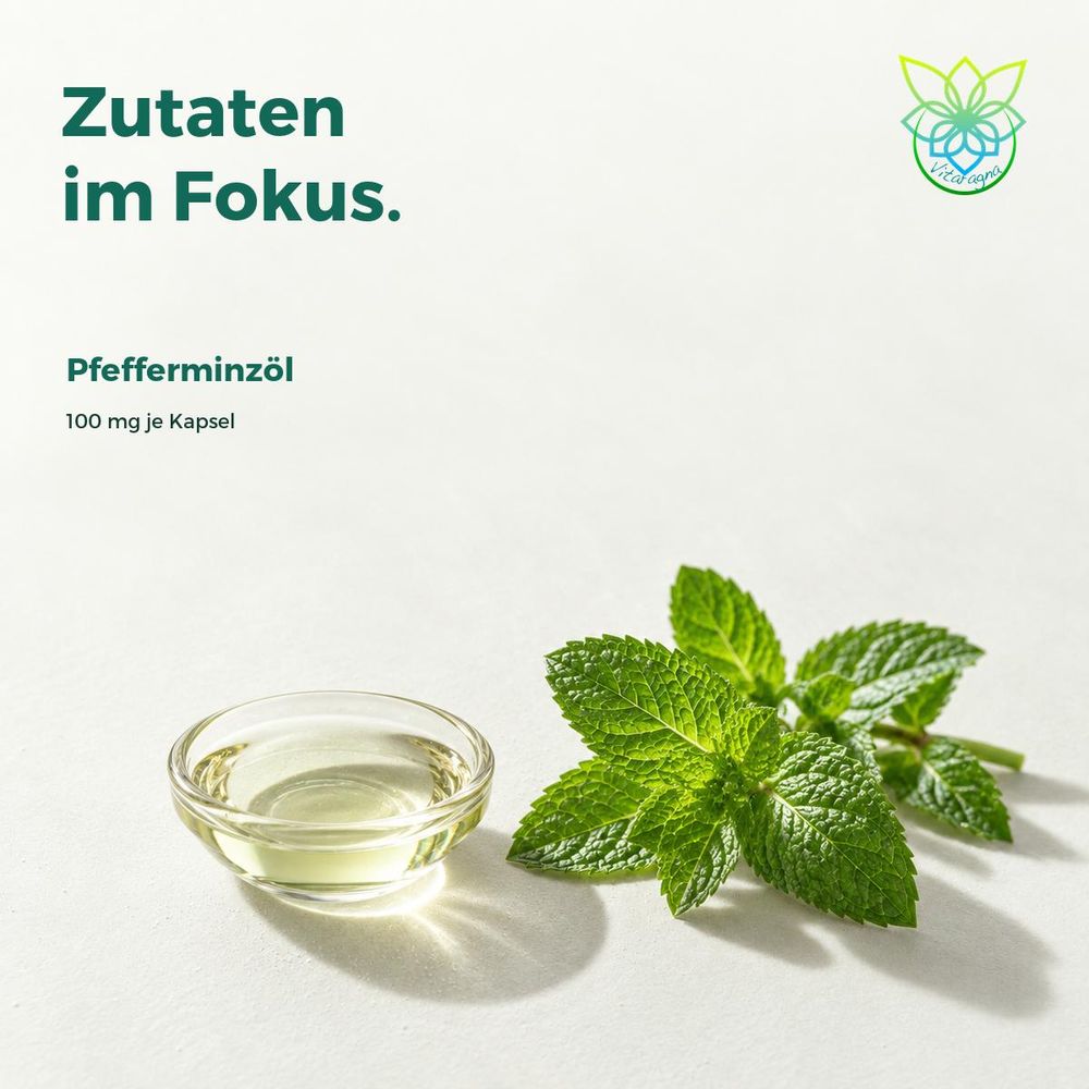 Eden Care Pfefferminzöl – Zutaten, illustrative Darstellung