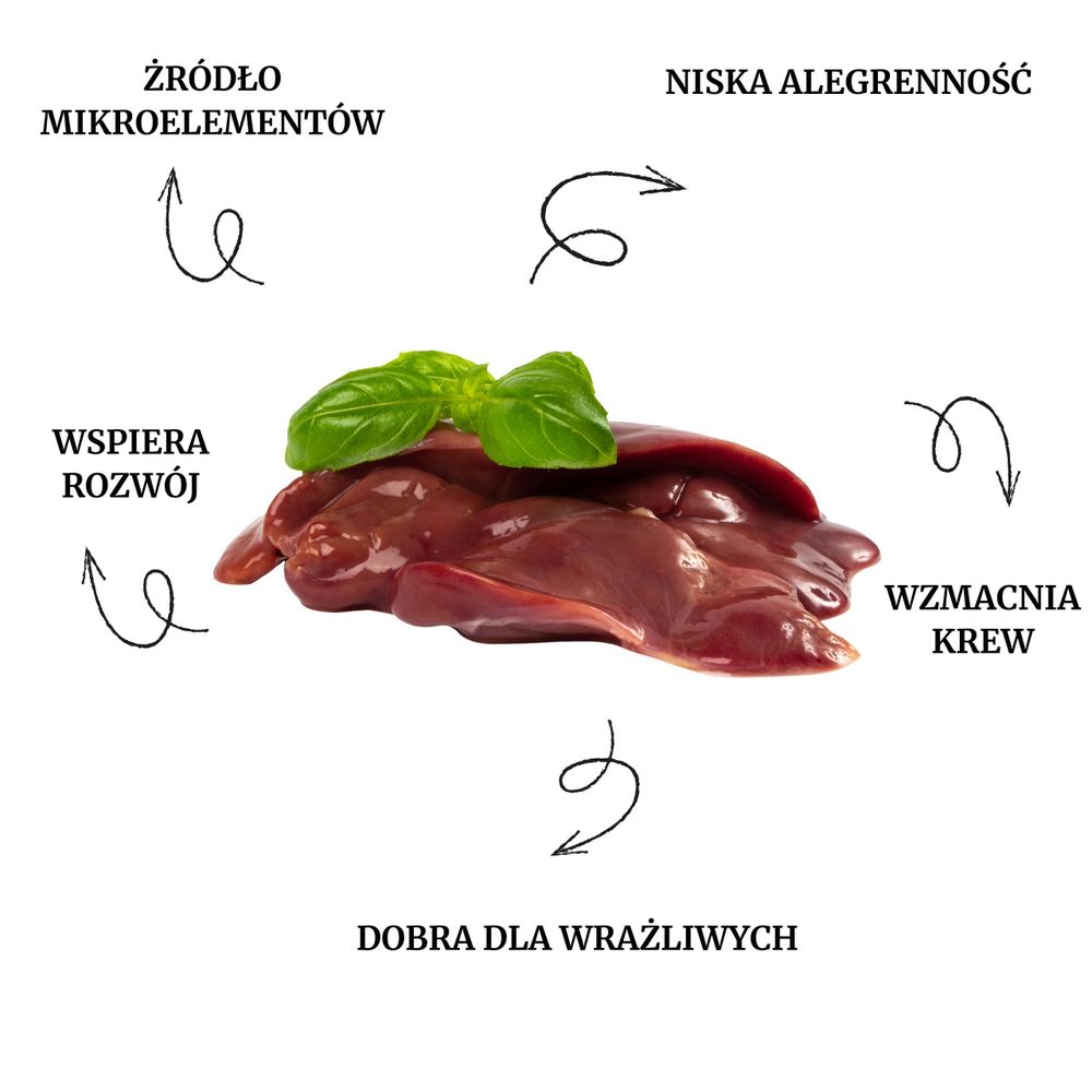 Pełnoporcjowa Karma Sucha Dla Psów Dorosłych LOVIRA Indyk Z Dynią 3kg