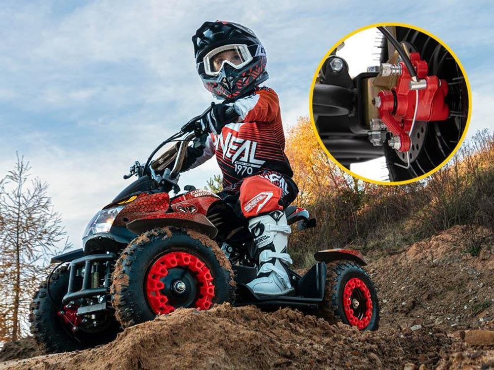 Elektro Kinderquad Cobra | 800 Watt - Pocket Quad bis 24 km/h - Elektroquad - Kinder Fahrzeug - Mini Quad - Elektroauto - Batterie (Grau/Schwarz)