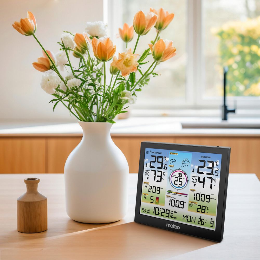 Multisensor zur Messung von Wind und Niederschlag