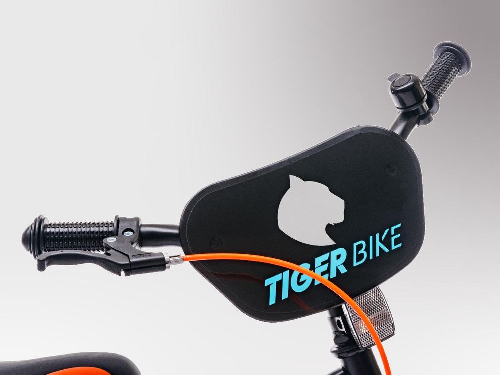 Sun Baby Tiger Bike bici per bambini ragazzi bici ruote di formazione 12 14 16 pollici da 2-6 anni BMX bici per bambini (14 pollici, arancione)