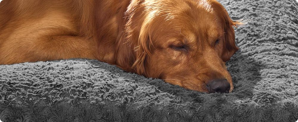 Feandrea Hundebett, flauschige Hundematte, Plüsch, weiche Polsterung, waschbar, rutschfest