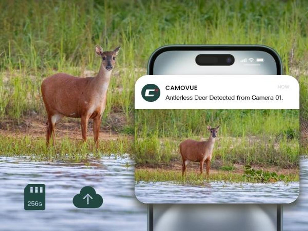 Reolink Camovue Talon Pro, 4K 8MP 4G LTE Akku Überwachungskamera für den Außenbereich, SIM-Karte, Starlight-Nachtsicht, Tierarterkennung