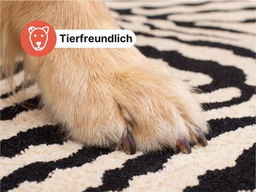 Tapiso Teppich ATLAS modern rot beige Wohnzimmer 250 x 350 cm