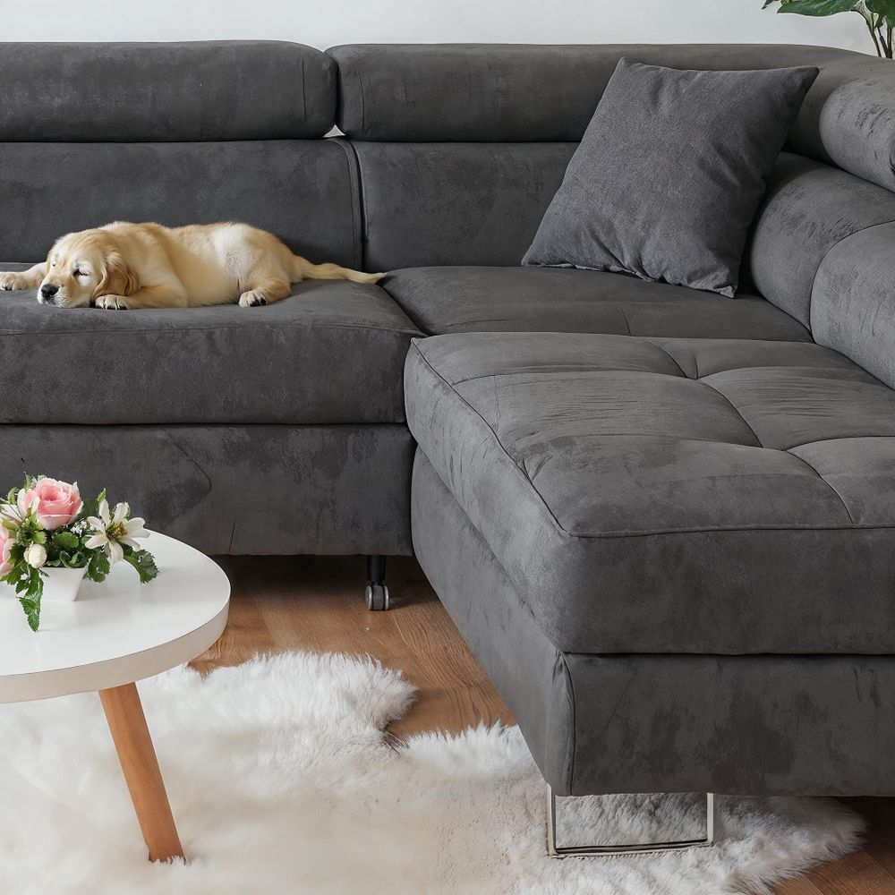 Detailansicht eines grauen Ecksofas aus samtweichem Stoff mit Hund, Kissen und Teppich