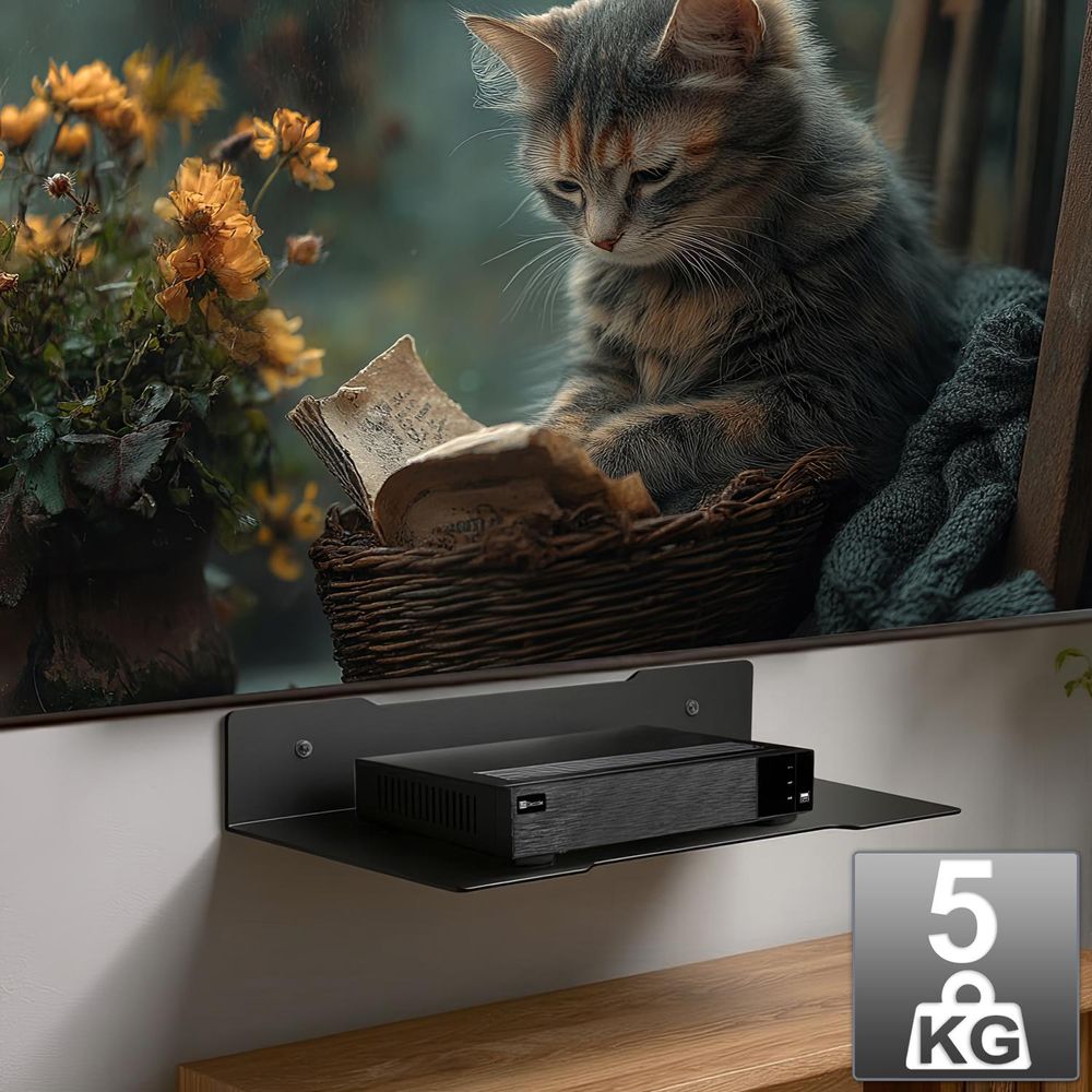 Maclean Decoder-Wandregal einzeln max. 5kg Stahl MC-122